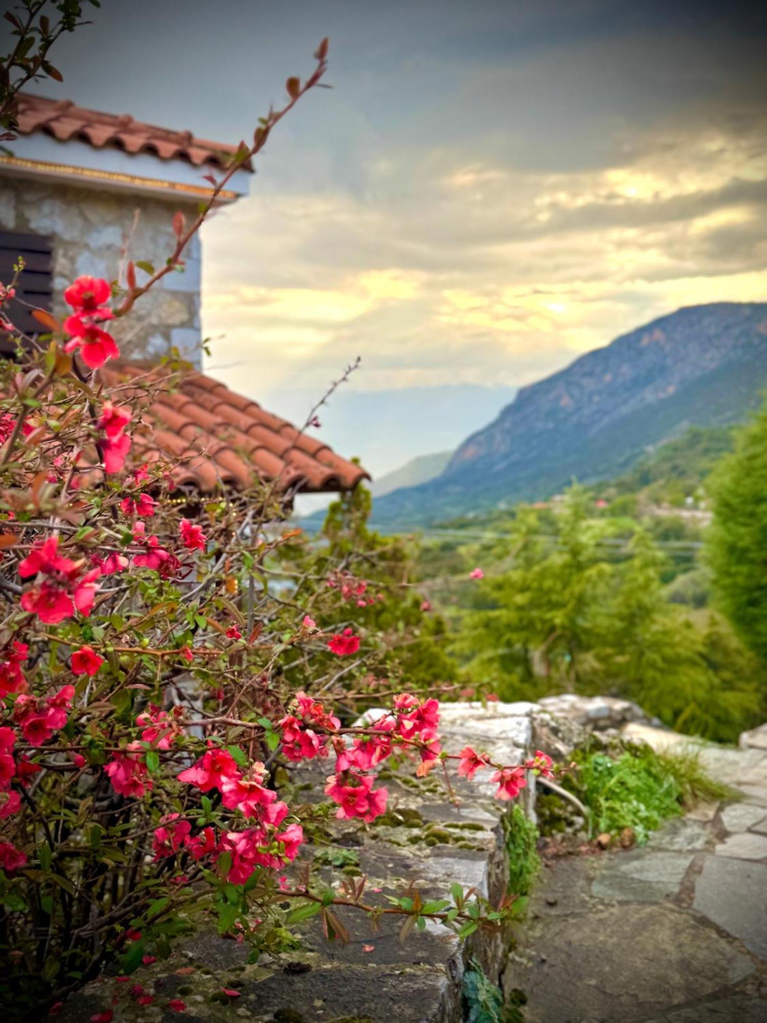Rock Dandy Deluxe Chalet In Arachova - Delphi, Sauna, Prv Parking, Amazing View Exteriér fotografie